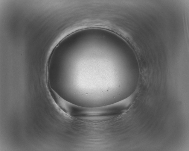 X0000062631520200512281542