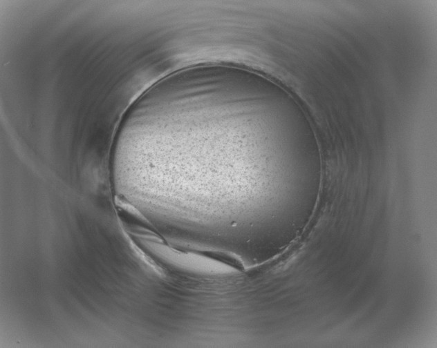 X0000062631521200512281542