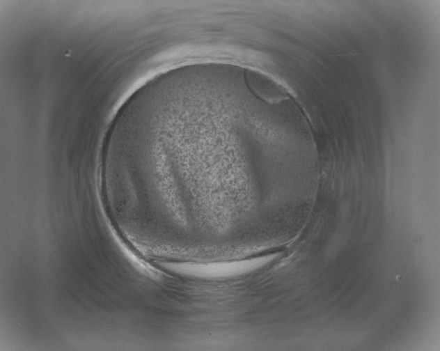 X0000062631523200512281542