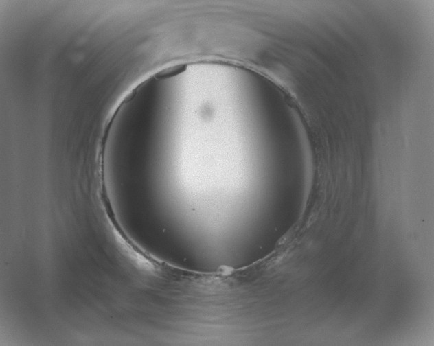 X0000062631524200512281542