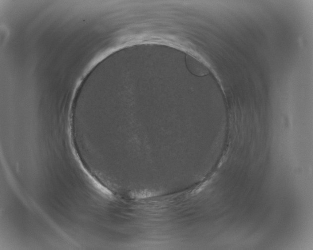 X0000062631525200512281542