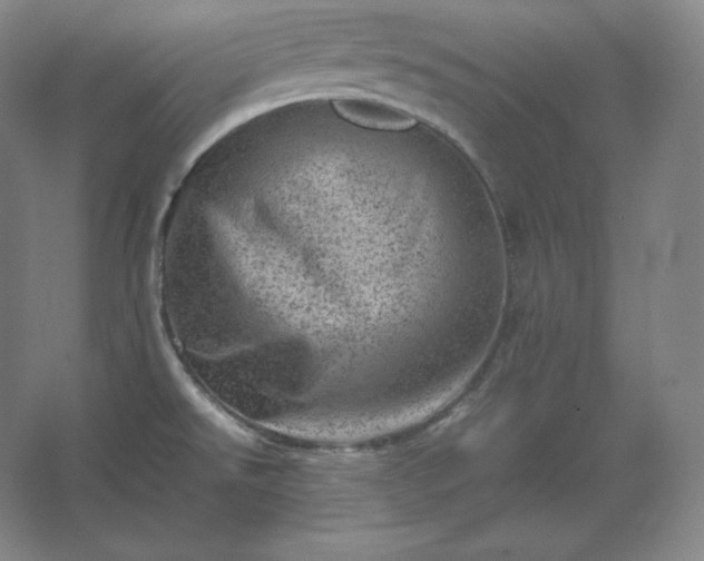 X0000062631526200512281542