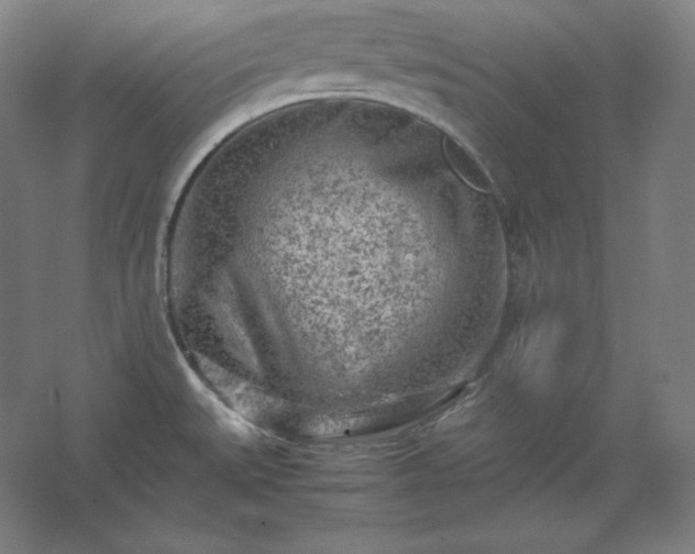 X0000062631527200512281542