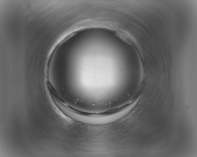 X0000062631528200512281542