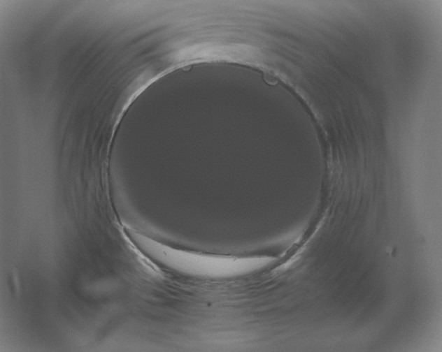 X0000062631529200512281542