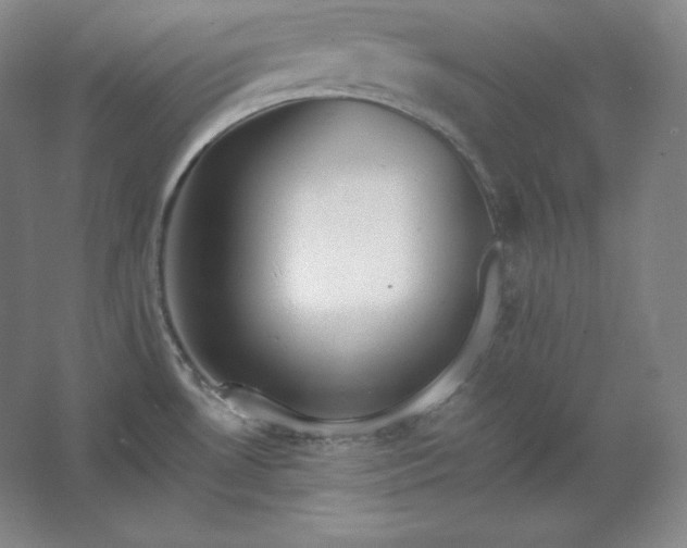 X0000062631530200512281542