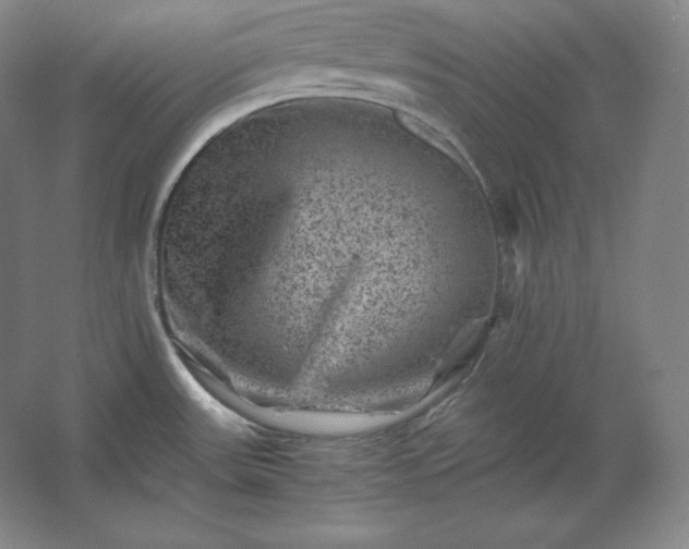 X0000062631531200512281542