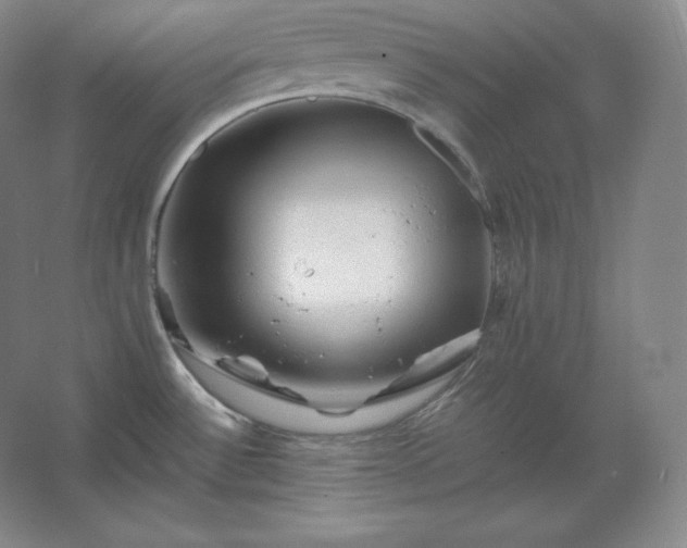 X0000062631532200512281542