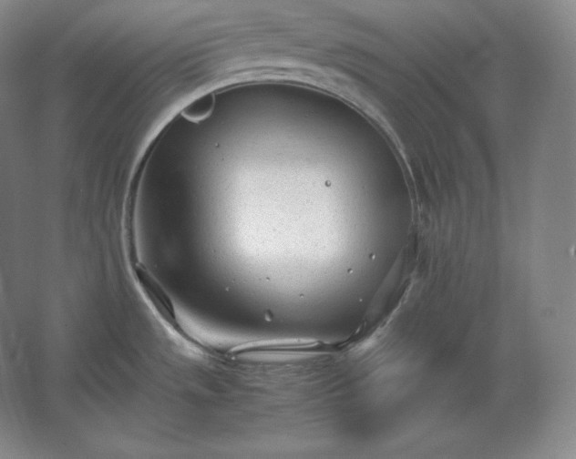 X0000062631533200512281542