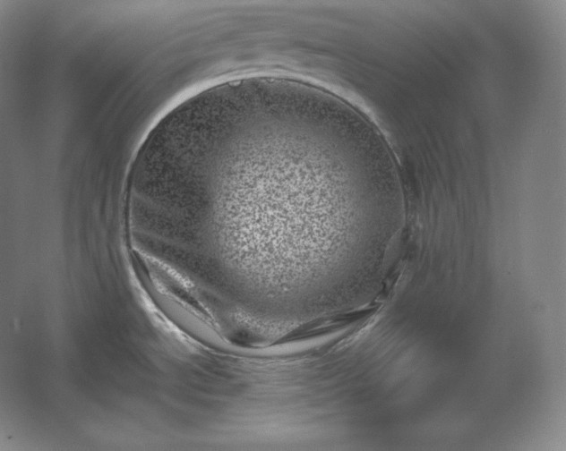 X0000062631534200512281542