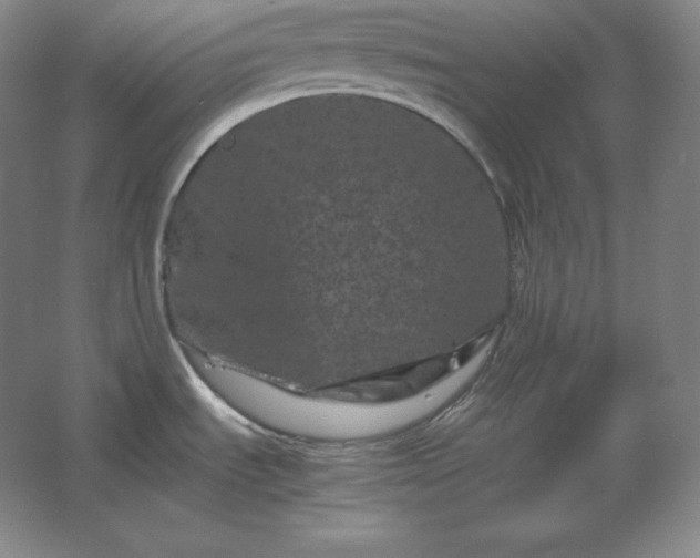 X0000062631535200512281542