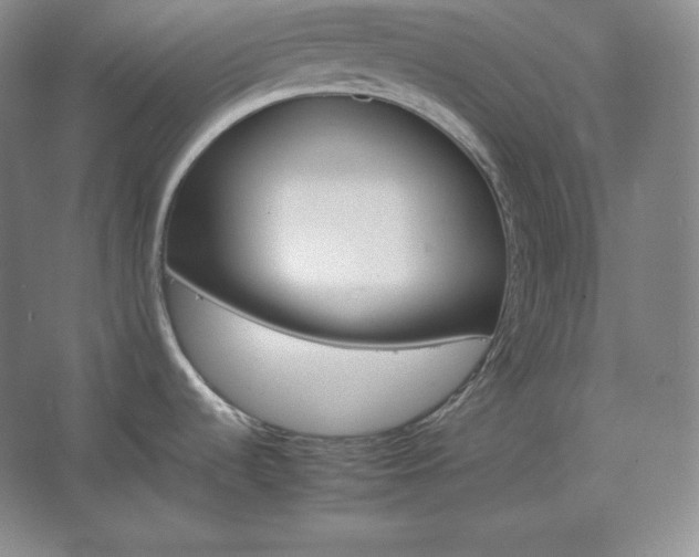 X0000062631536200512281542