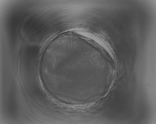 X0000062630001200601041043