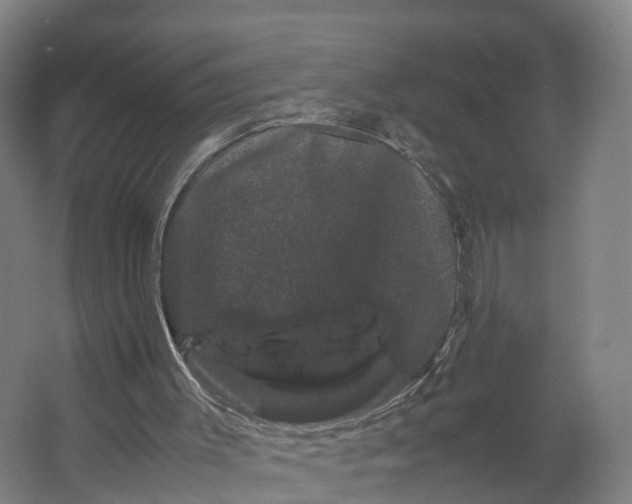 X0000062630003200601041043