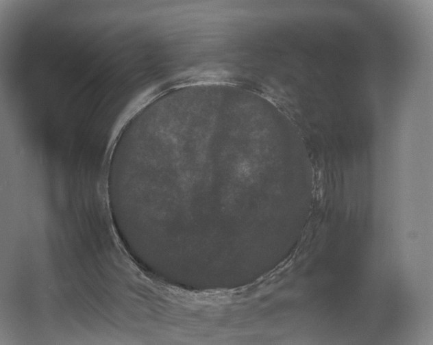 X0000062630004200601041043