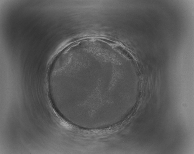 X0000062630005200601041043