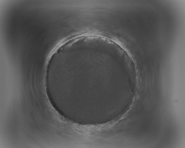 X0000062630007200601041043