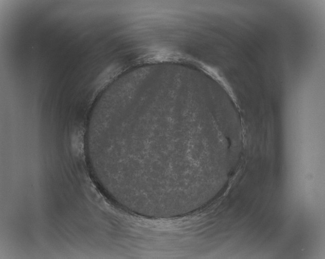 X0000062630010200601041043