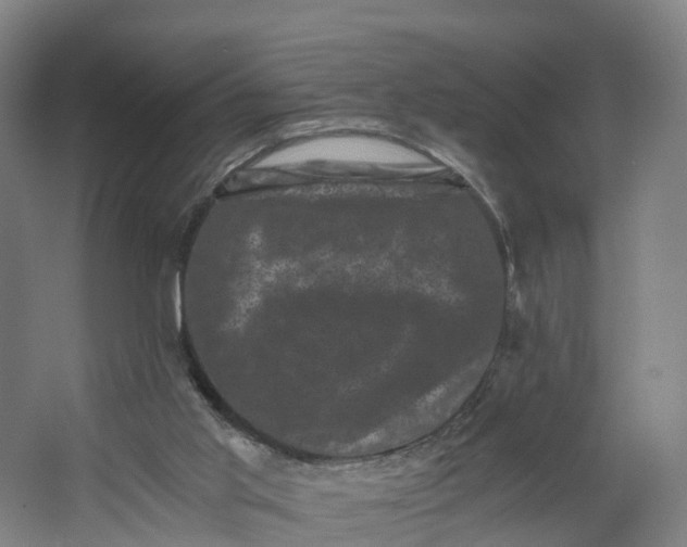 X0000062630013200601041043