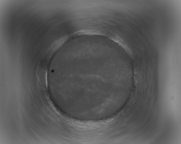 X0000062630014200601041043