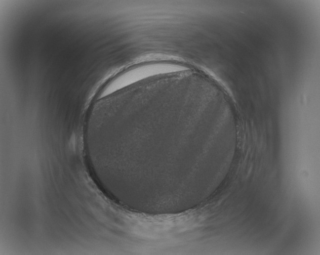 X0000062630015200601041043