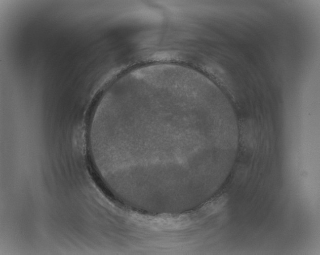 X0000062630016200601041043