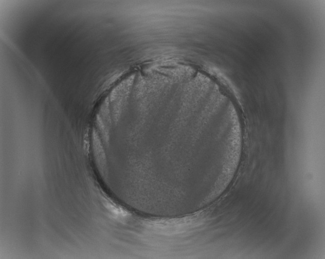 X0000062630017200601041043