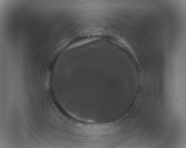 X0000062630018200601041043