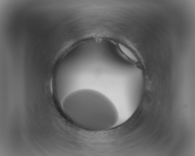 X0000062630019200601041043