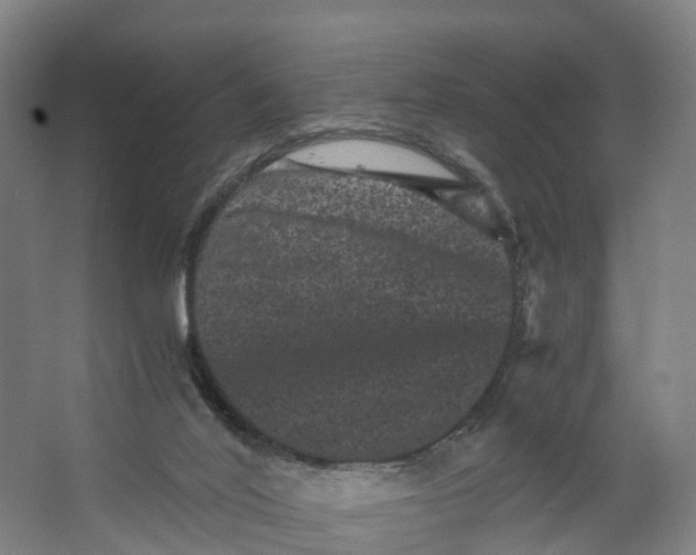 X0000062630020200601041043