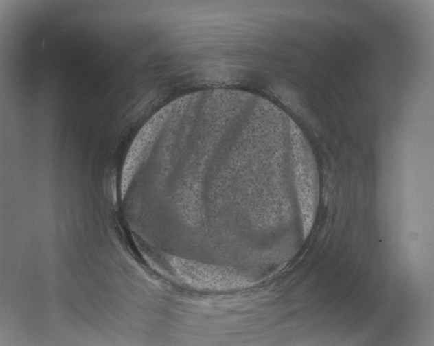 X0000062630021200601041043