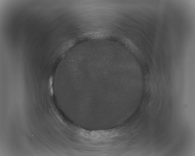 X0000062630022200601041043