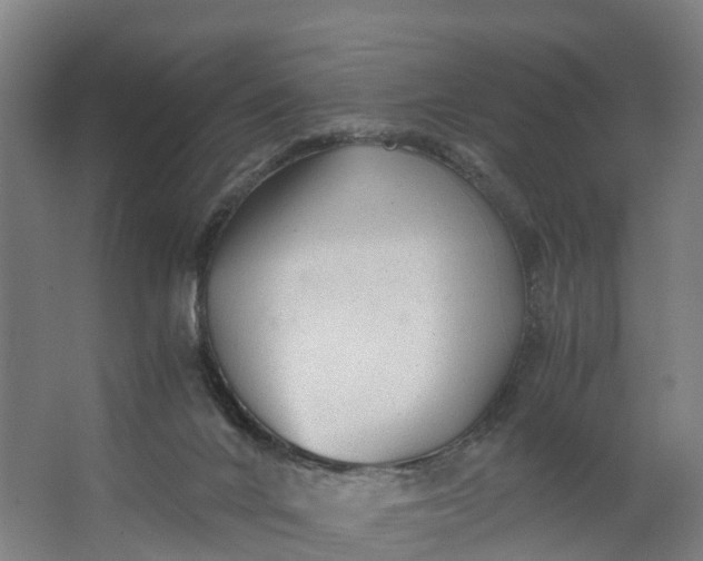 X0000062630024200601041043