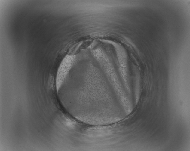 X0000062630025200601041043