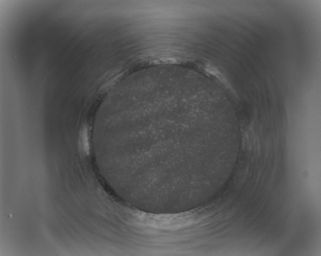 X0000062630026200601041043