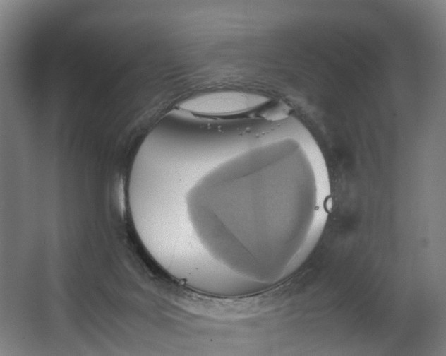 X0000062630027200601041043