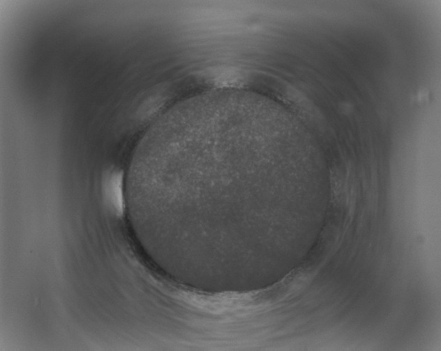 X0000062630028200601041043