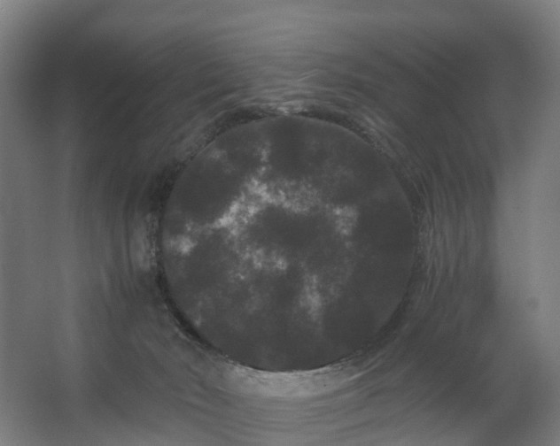 X0000062630030200601041043