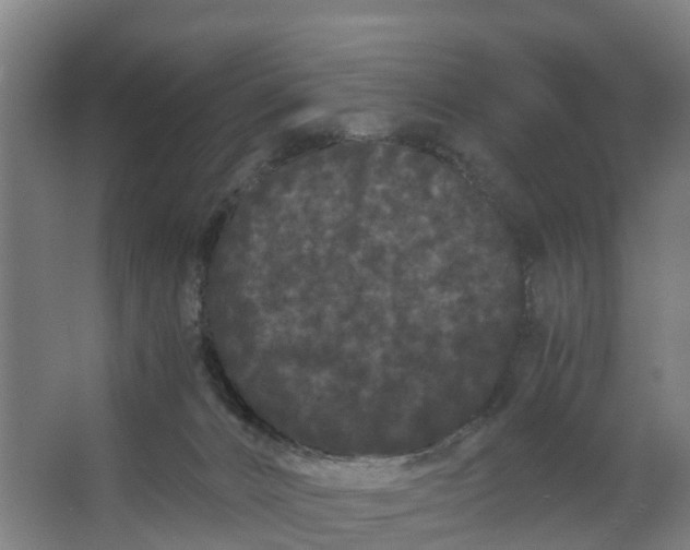 X0000062630032200601041043