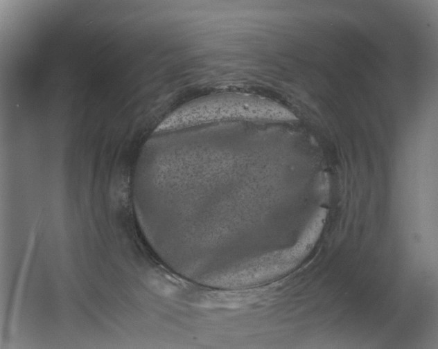 X0000062630033200601041043