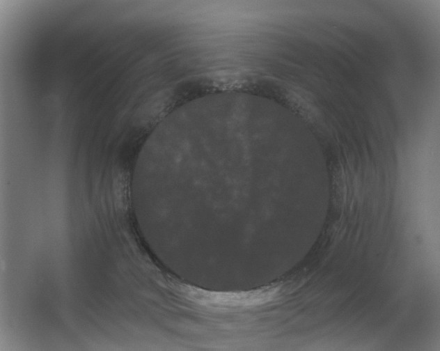 X0000062630034200601041043