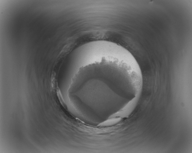 X0000062630035200601041043