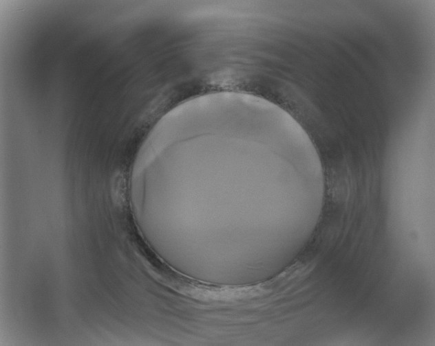 X0000062630036200601041043