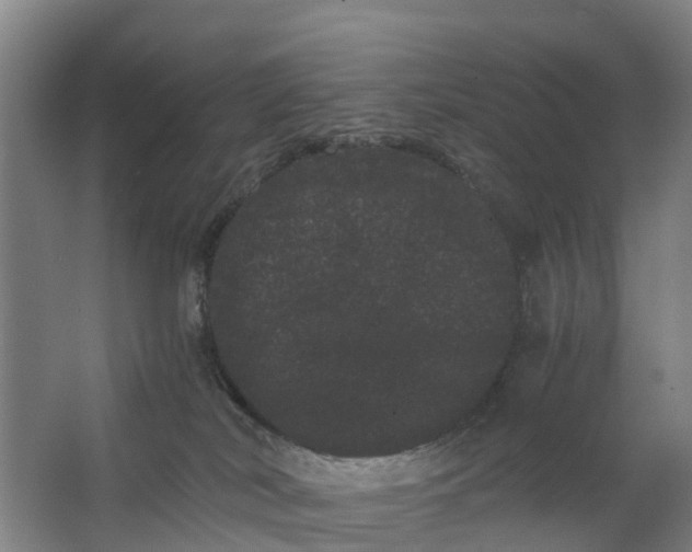 X0000062630038200601041042