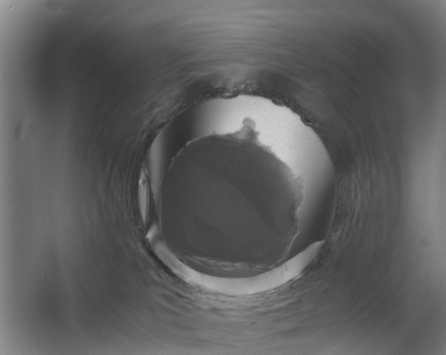 X0000062630039200601041042