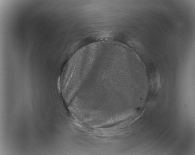 X0000062630041200601041042