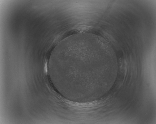 X0000062630042200601041042