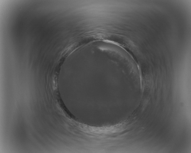 X0000062630043200601041042