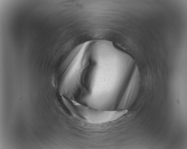 X0000062630044200601041042