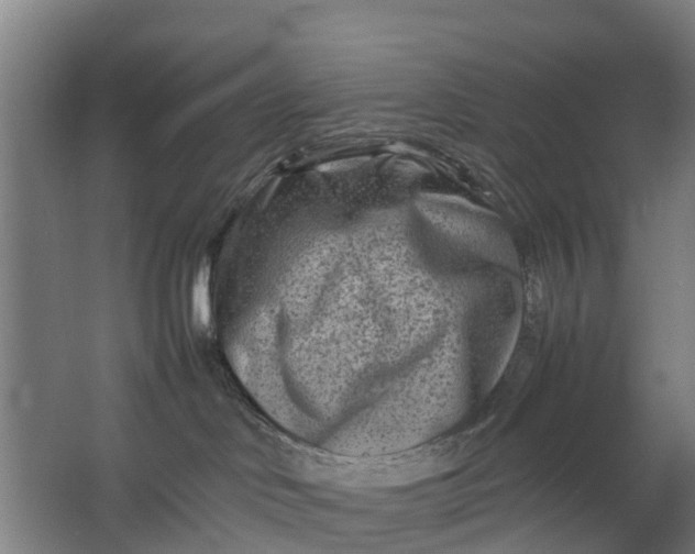 X0000062630046200601041042